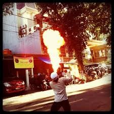 images_241